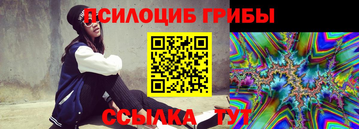 Псилоцибиновые грибы мицелий  Галлюциногенные грибы мухоморы  магазин продажи наркотиков  Вход с VPN  Прокопьевск 
