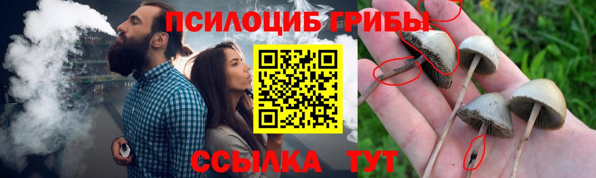 Галлюциногенные грибы ЛСД Прокопьевск